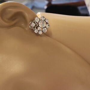 Accessorize earrings